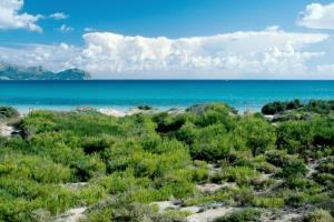 Benvinguts Hotell Port de Alcudia  Eksteriør bilde